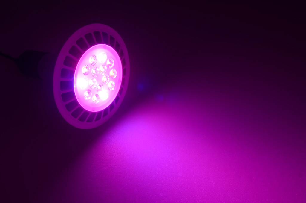 Pflanzenlampe LED-Spot E27, 14W, Rot-Blau - Lichtfarbe