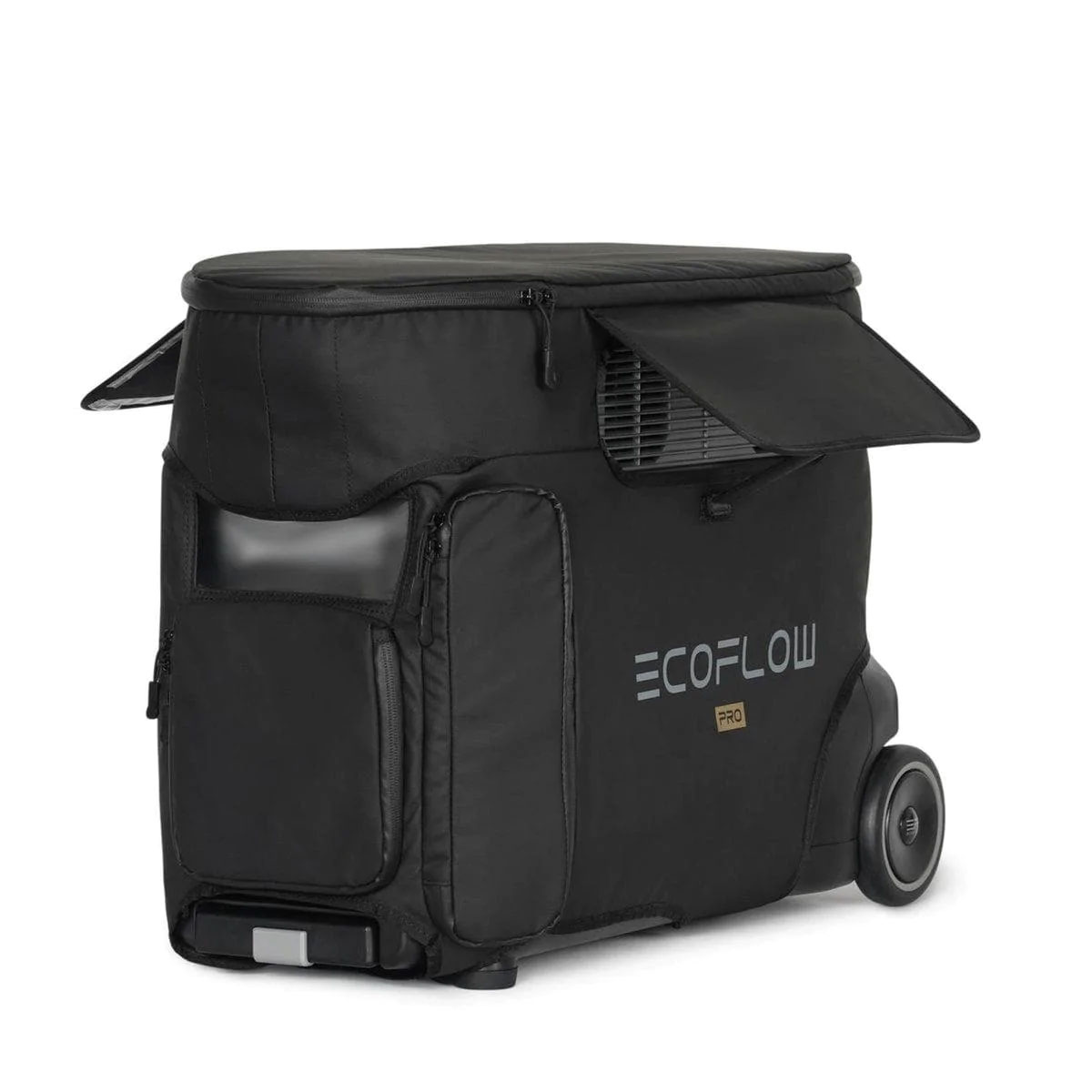 EcoFlow DELTA Pro Tasche