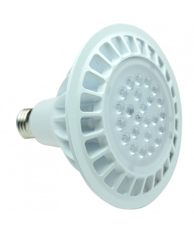 LED Pflanzenlampe E27, 12,5W, PAR38 Rot Blau KW, EEK: -