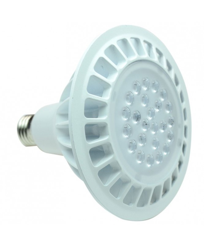 LED Pflanzenlampe E27, 12,5W, PAR38 Rot Blau KW, EEK: - LED Pflanzenlampe E27, 12,5W, PAR38 Rot Blau KW, EEK: -